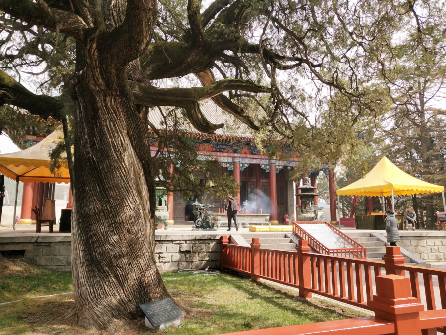 1-3_副本.jpg 1-3_副本.jpg